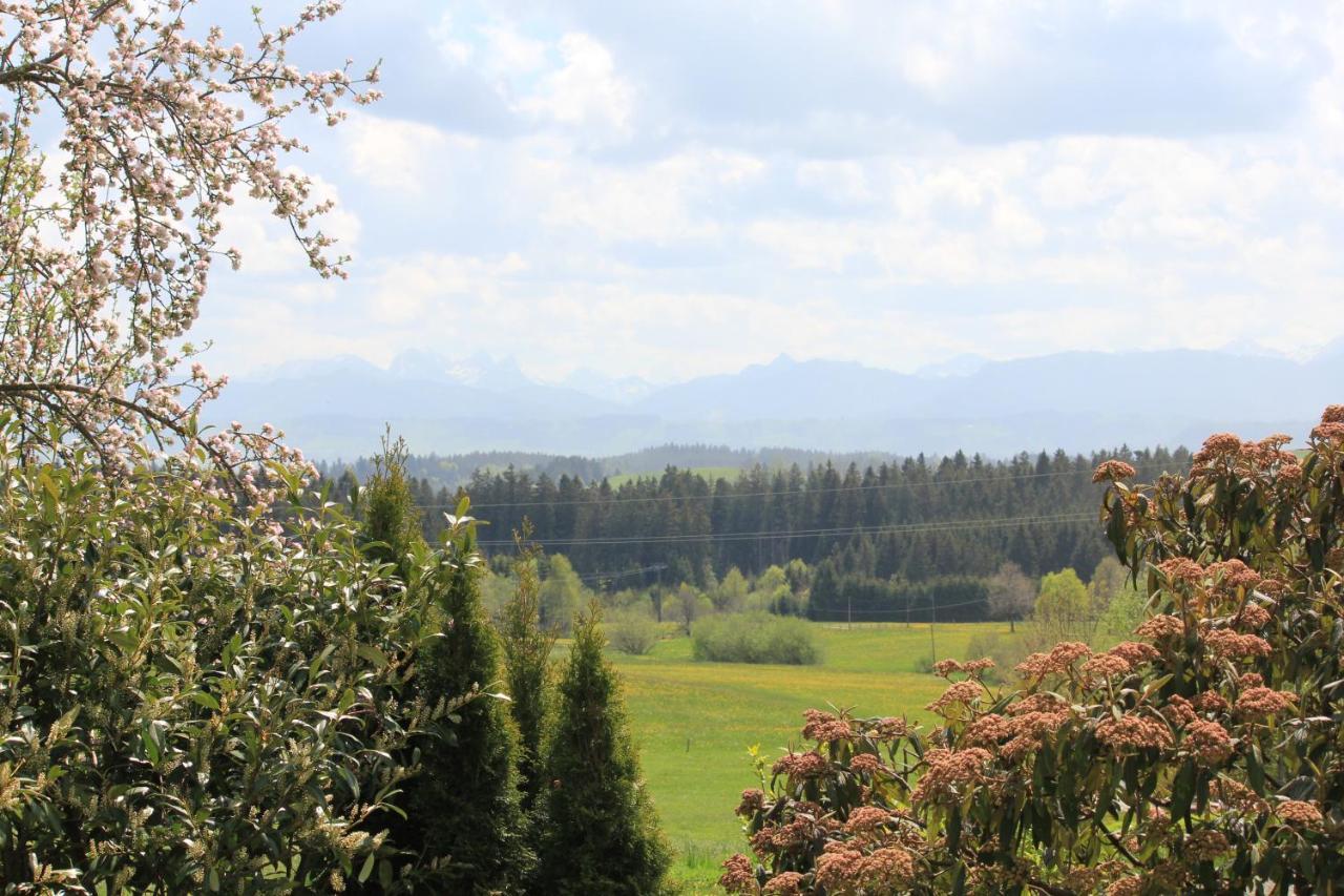 Kuh Heimat - Bergblick - Terrasse Daire Buchenberg  Dış mekan fotoğraf