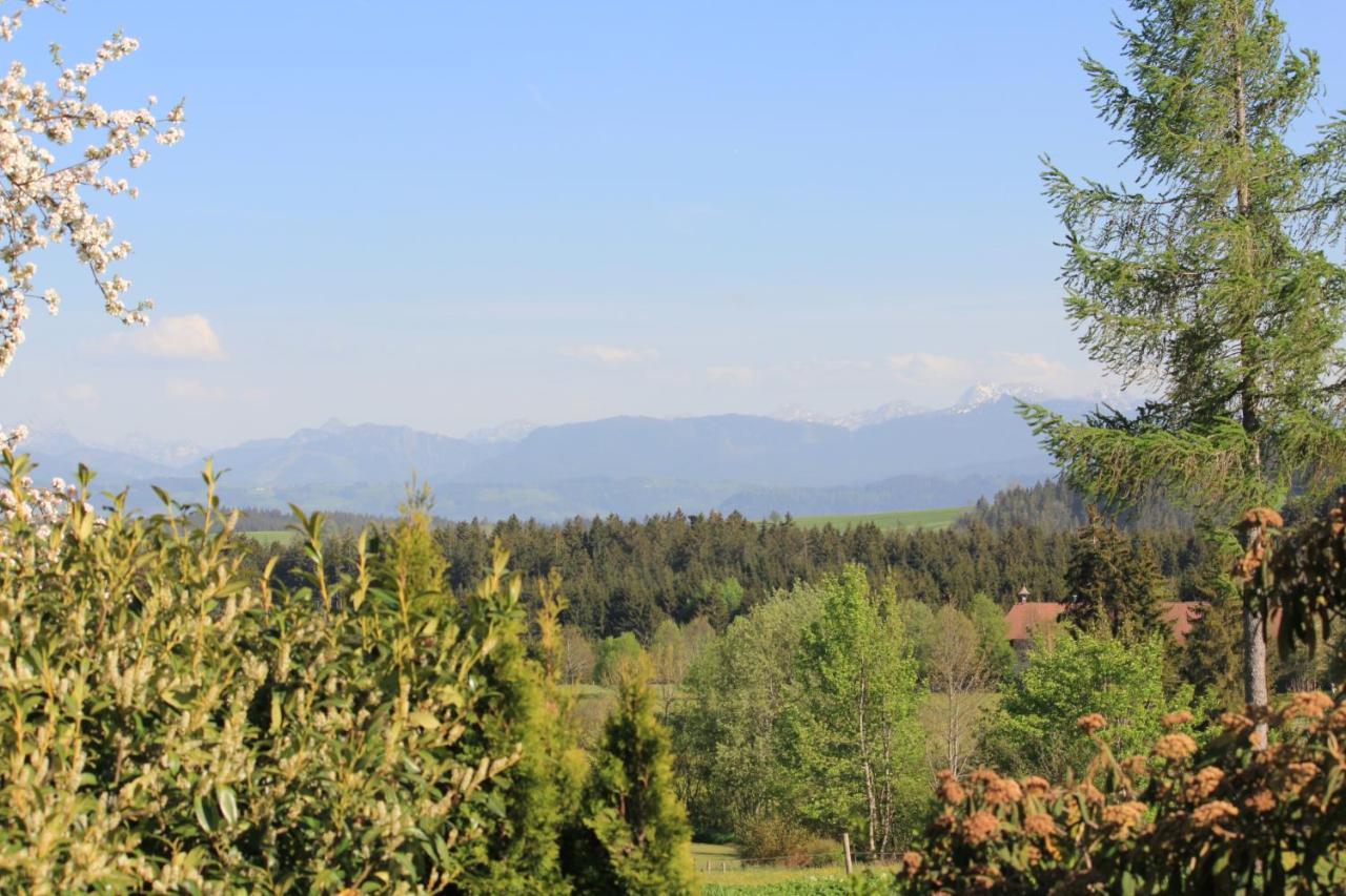 Kuh Heimat - Bergblick - Terrasse Daire Buchenberg  Dış mekan fotoğraf