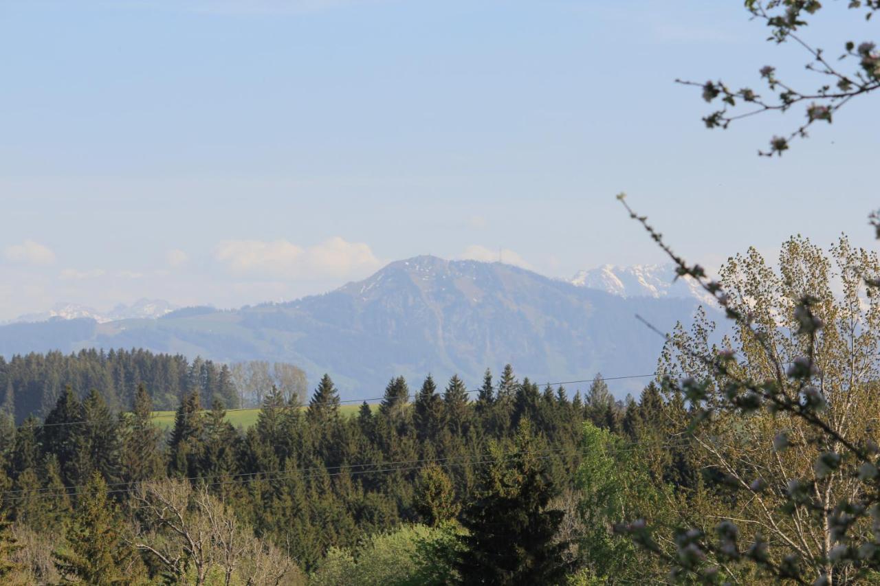 Kuh Heimat - Bergblick - Terrasse Daire Buchenberg  Dış mekan fotoğraf