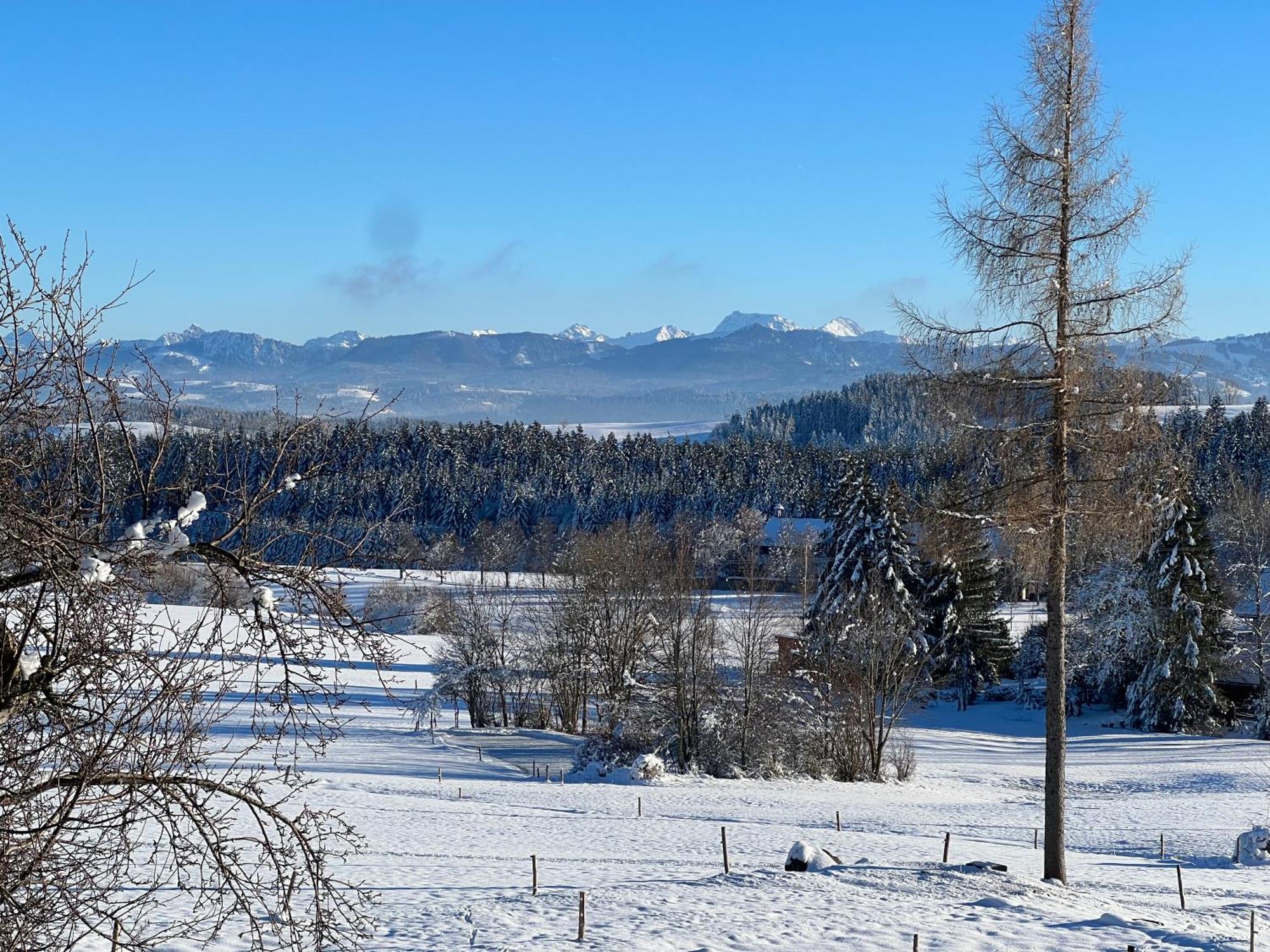 Kuh Heimat - Bergblick - Terrasse Daire Buchenberg  Dış mekan fotoğraf